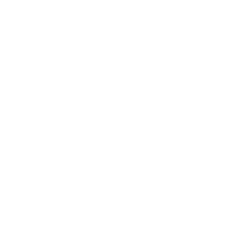 Vallonier logo mark in white