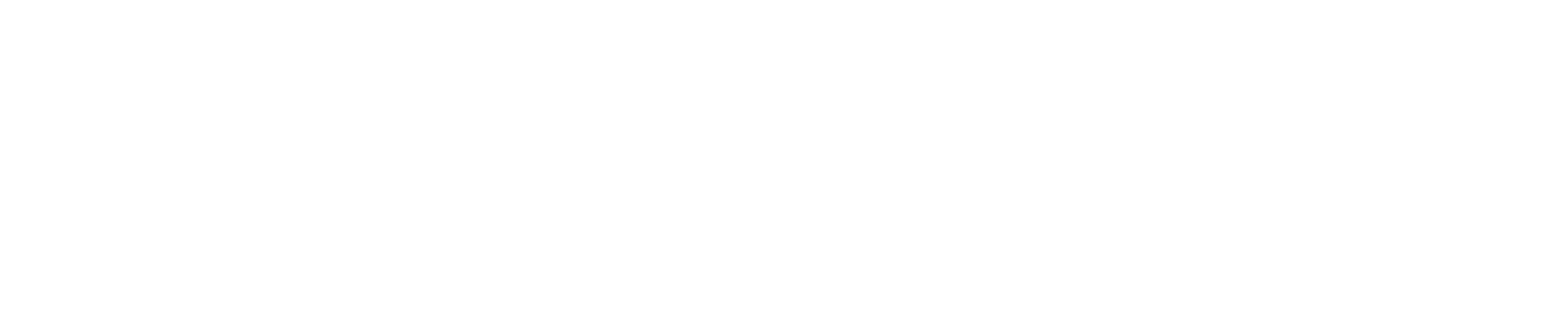 Vallonier wordmark in white